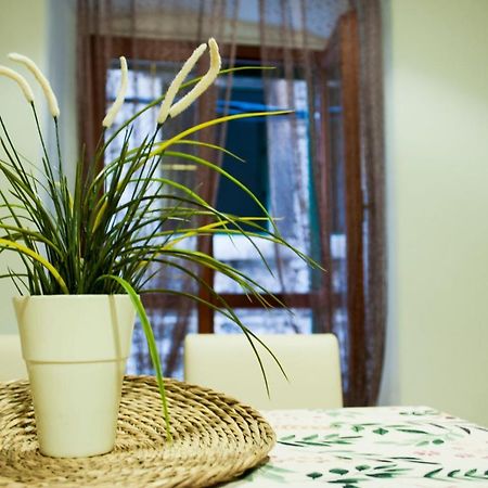 Apartman Flower Sibenik Ngoại thất bức ảnh