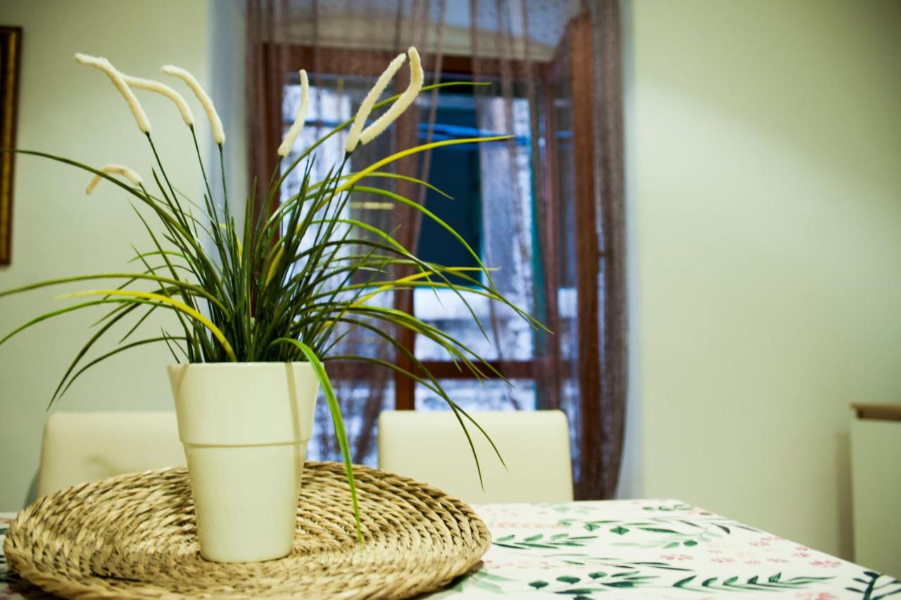 Apartman Flower Sibenik Ngoại thất bức ảnh