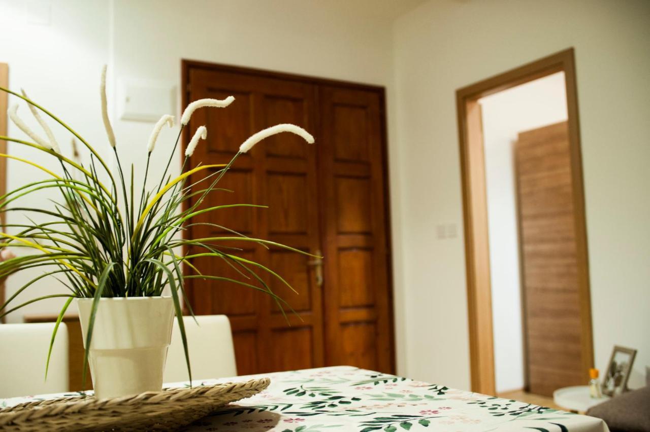 Apartman Flower Sibenik Ngoại thất bức ảnh